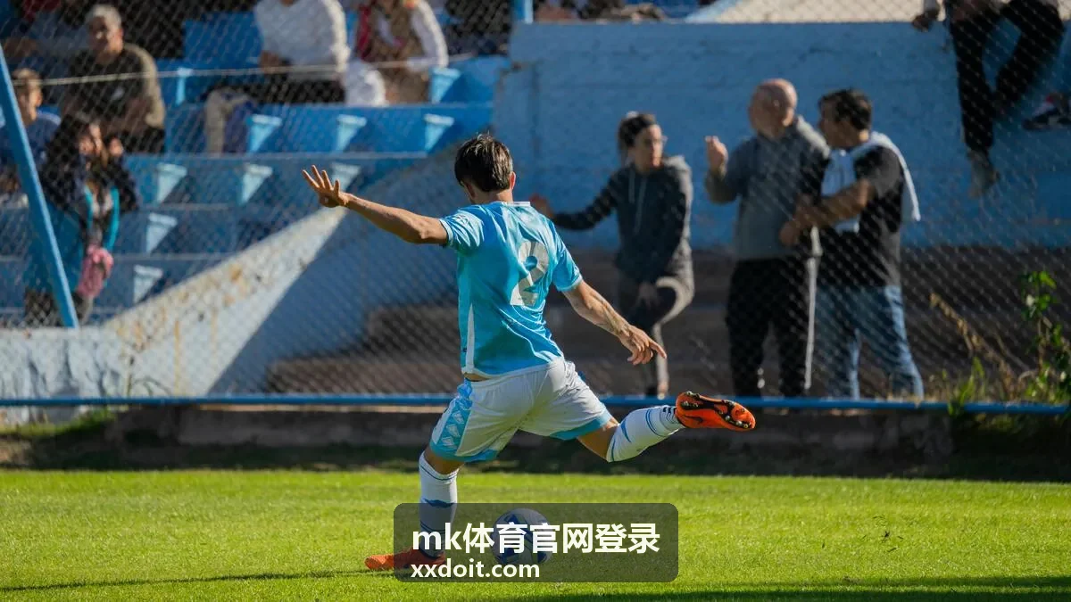 mk体育官网登录入口与流程操作示意