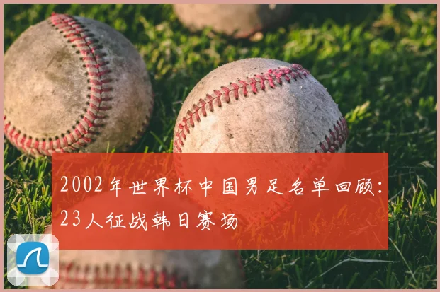 2002年世界杯中国男足名单回顾:23人征战韩日赛场