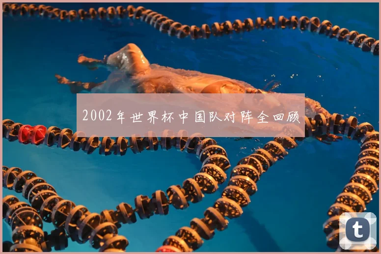 2002年世界杯中国队对阵全回顾