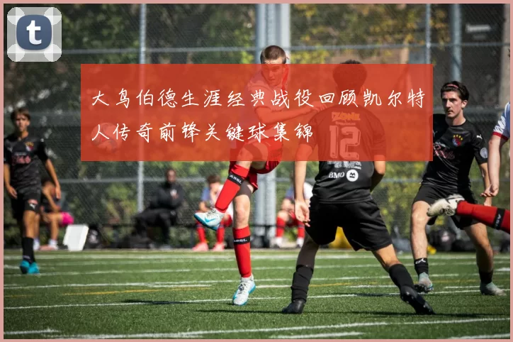 大鸟伯德生涯经典战役回顾凯尔特人传奇前锋关键球集锦