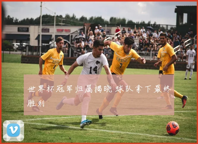 世界杯冠军归属揭晓 球队拿下最终胜利