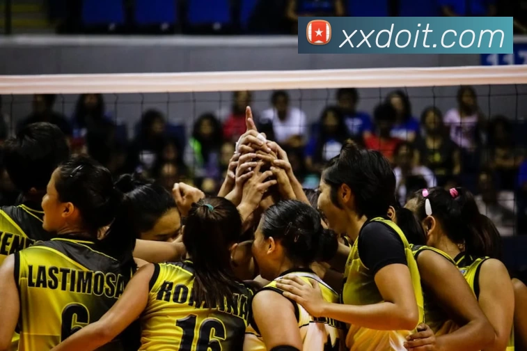 星空体育登录官网入口品牌故事