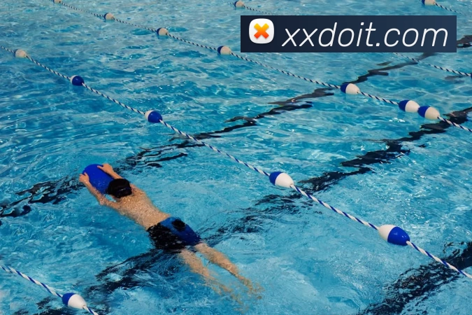 星空体育登录官网入口服务体系